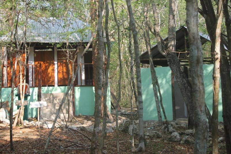 Photo of Others in Calakmul