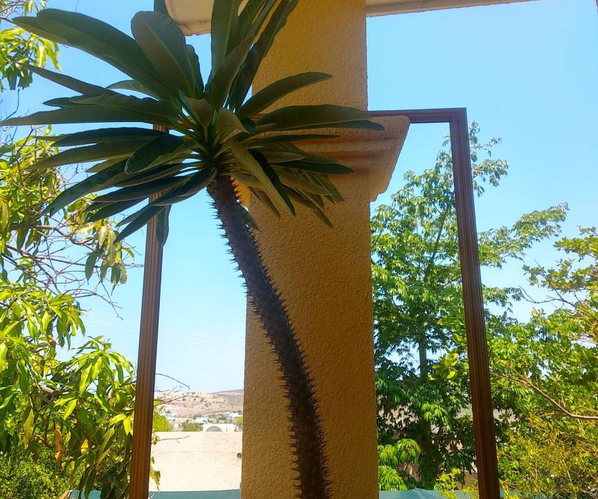 Photo of Others in La Paz