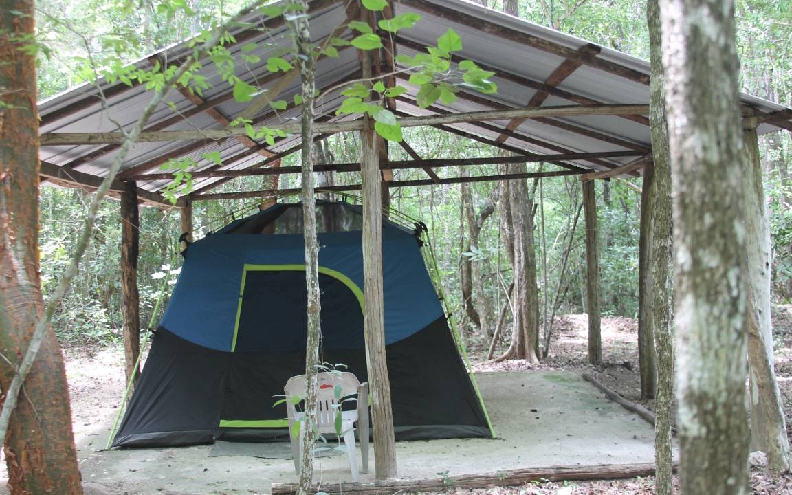 Photo of Others in Calakmul