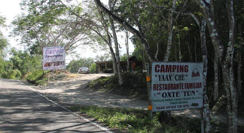 Photo of Others in Calakmul