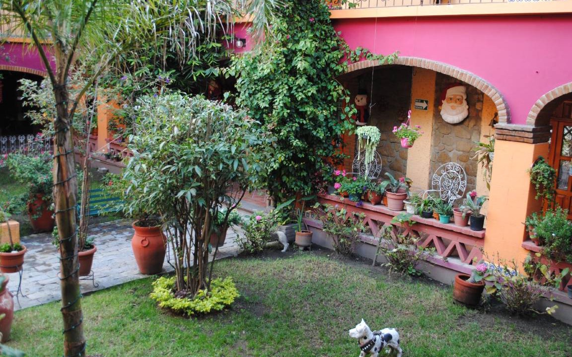 Photo of Others in Tlaxcala