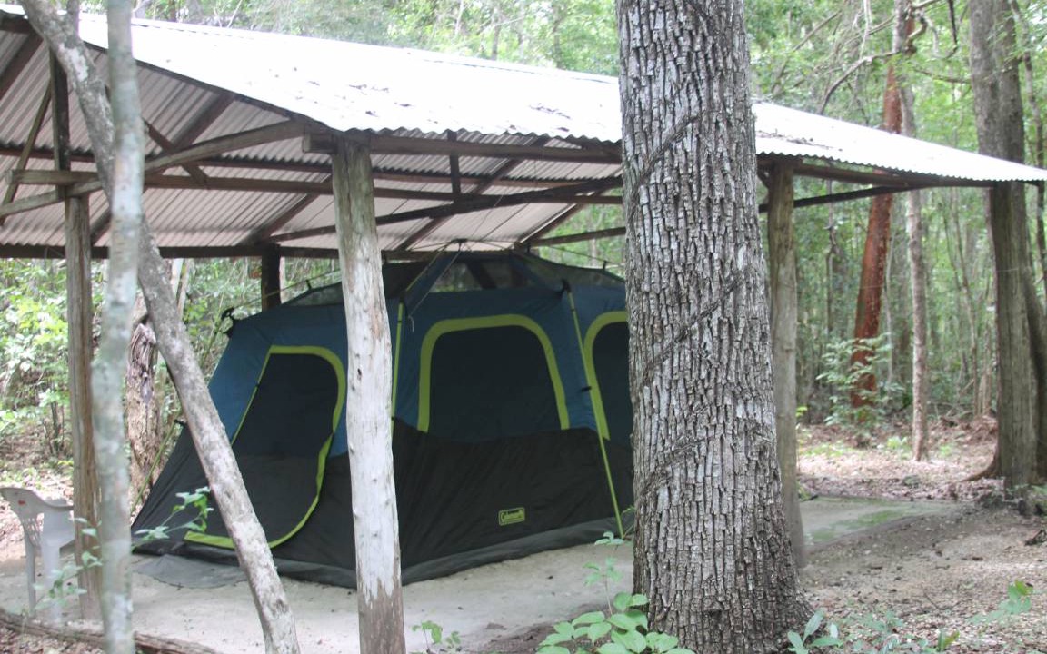 Photo of Others in Calakmul