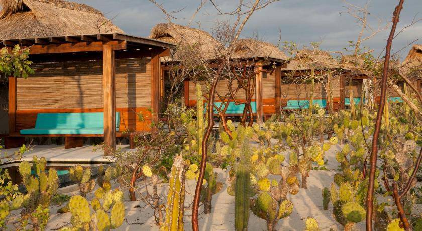 Photo of Others in Puerto Escondido
