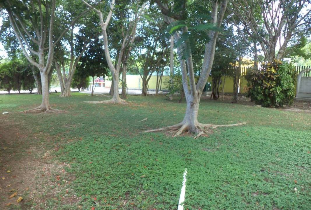 Photo of Others in Alfredo V. Bonfil