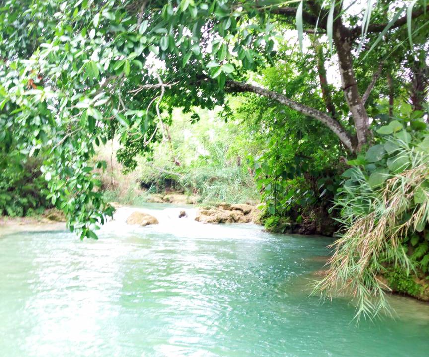 Photo of Others in Tamasopo