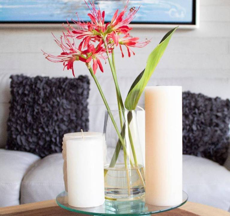 Photo of Others in Nuevo Vallarta