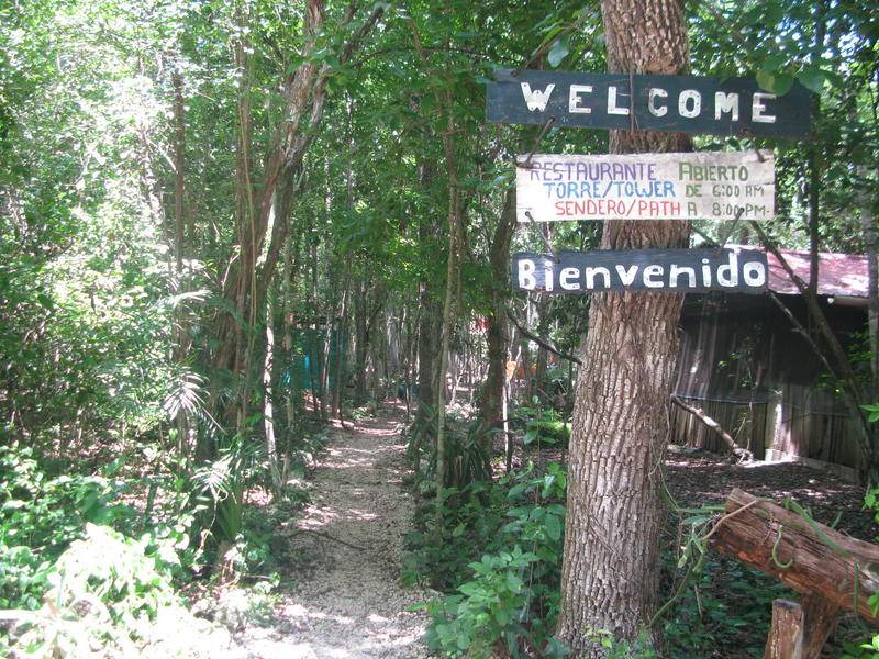 Photo of Others in Calakmul
