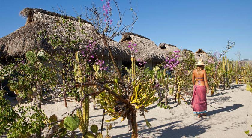 Photo of Others in Puerto Escondido