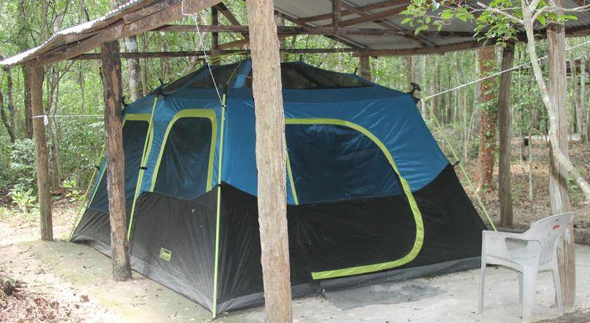 Photo of Others in Calakmul