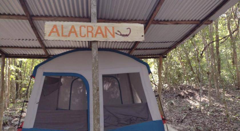 Photo of Others in Calakmul