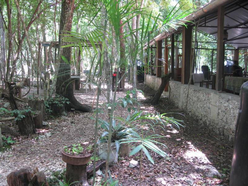 Photo of Others in Calakmul