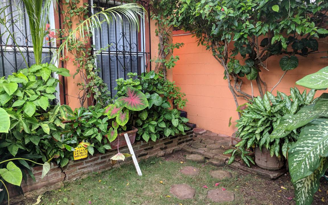 Photo of Others in Downtown Cancun