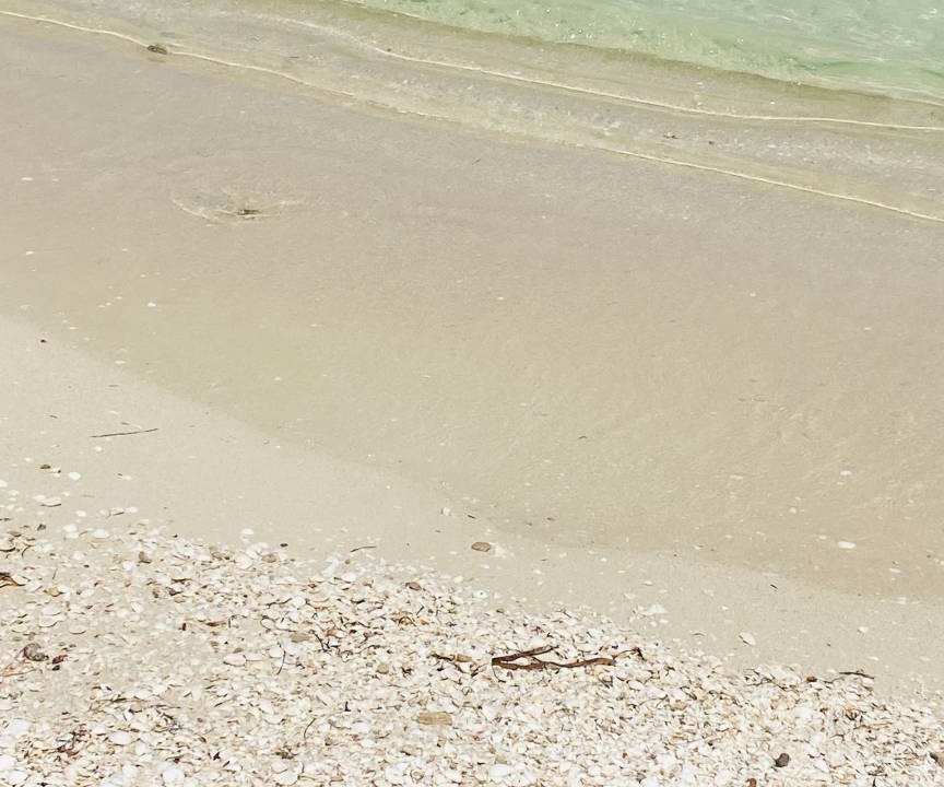 Photo of Others in Chicxulub Puerto