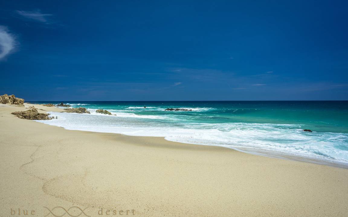 Photo of Others in Palmilla