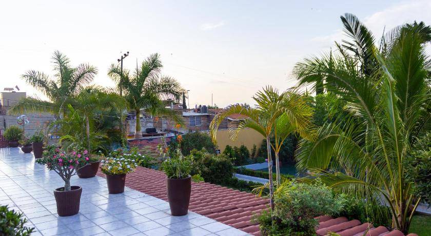 Photo of Others in Ajijic