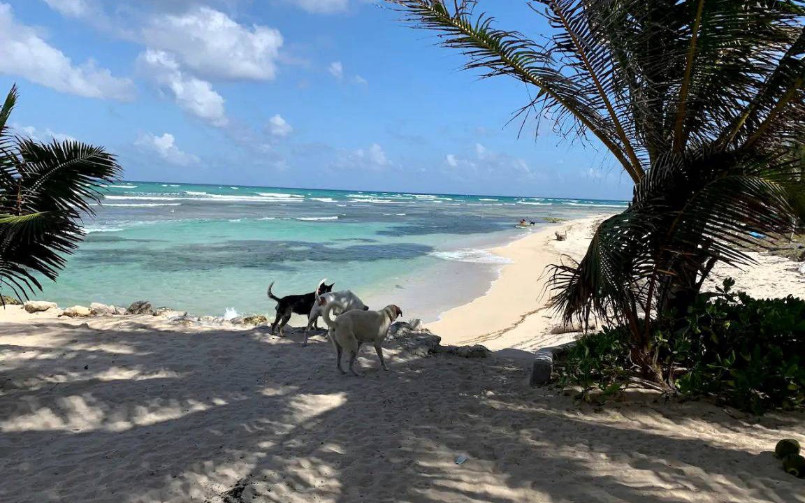 Photo of Others in Majahual