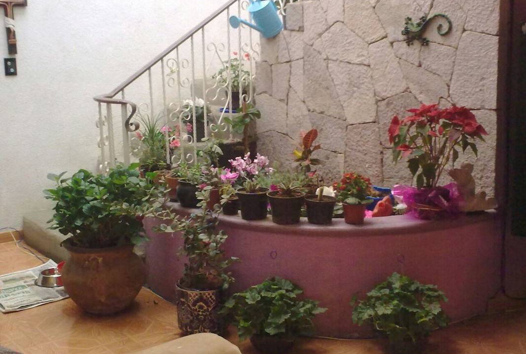 Photo of Others in Tlalpan