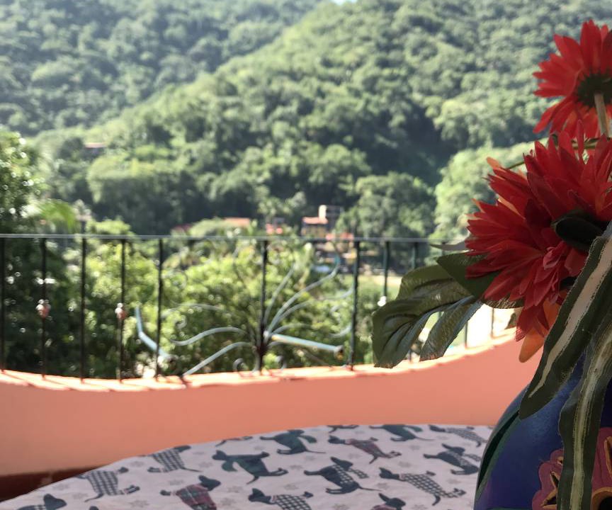 Photo of Others in Boca de Tomatlan