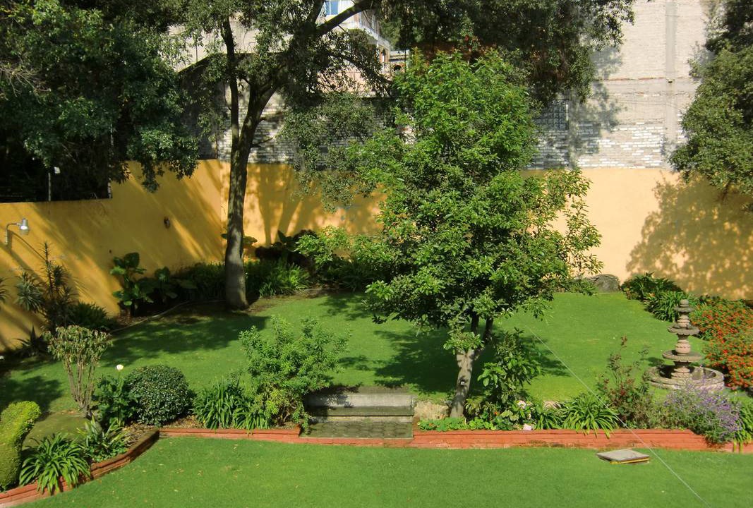 Photo of Others in Tlalpan