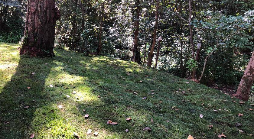 Photo of Others in Valle de Bravo