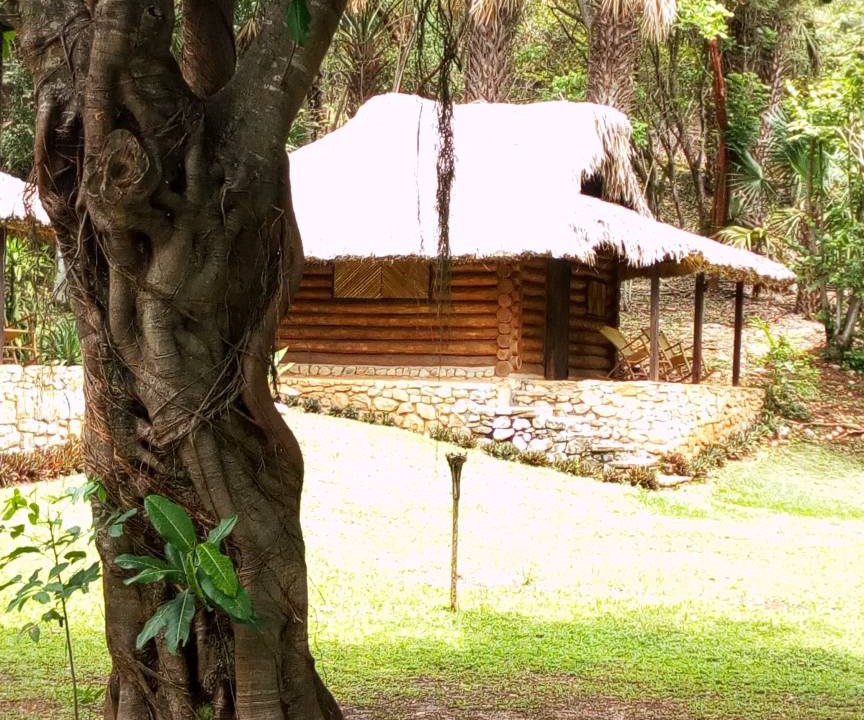 Photo of Others in Tamasopo
