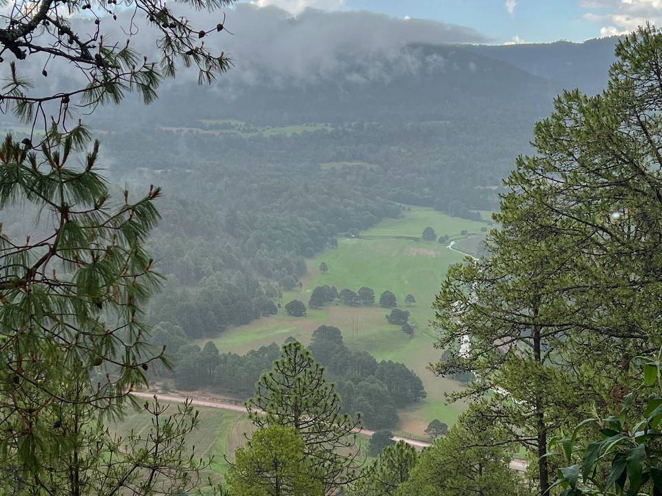 Photo of Others in Durango