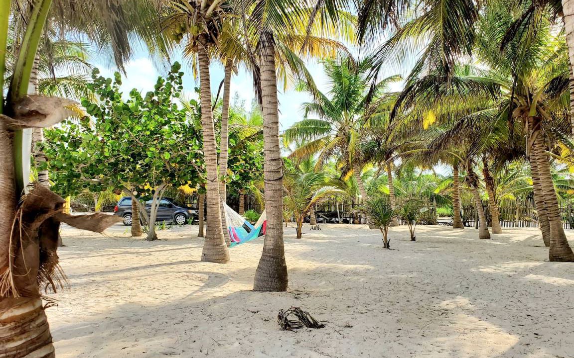 Photo of Others in Majahual