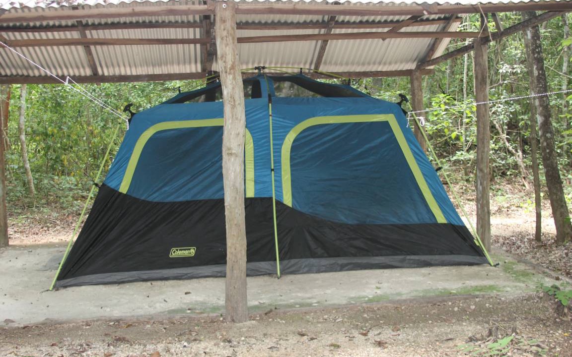 Photo of Others in Calakmul