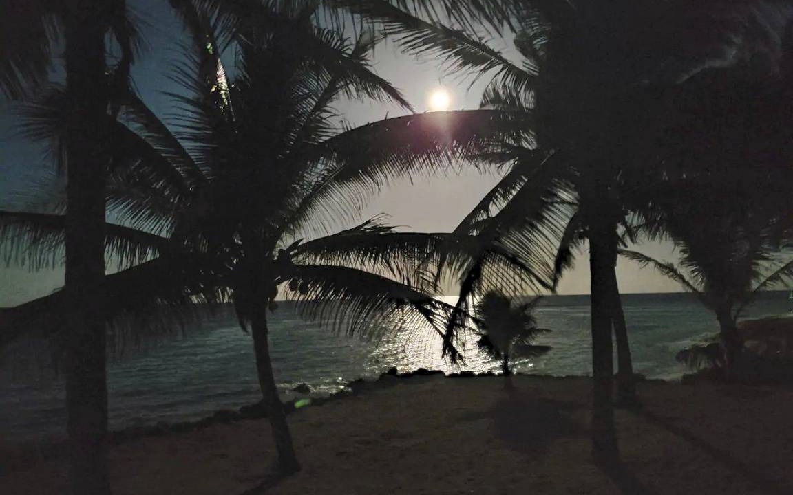 Photo of Others in Majahual