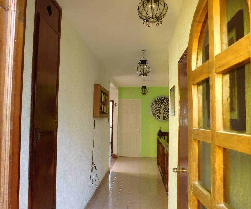 Photo of Others in Leon