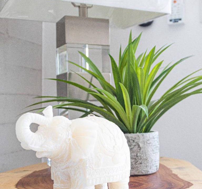 Photo of Others in Nuevo Vallarta