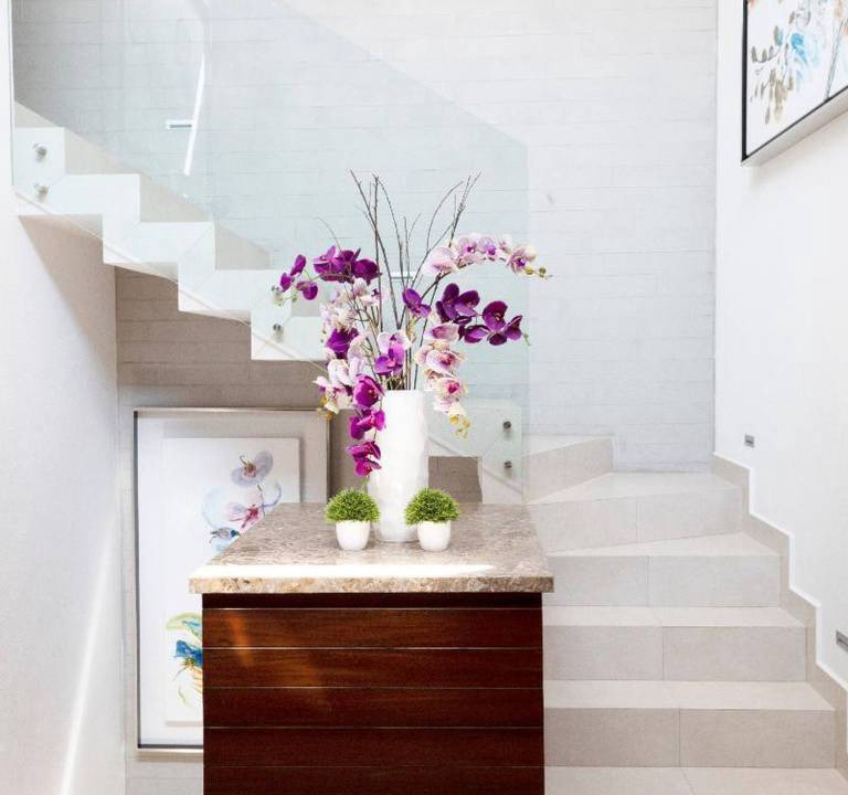 Photo of Others in Nuevo Vallarta