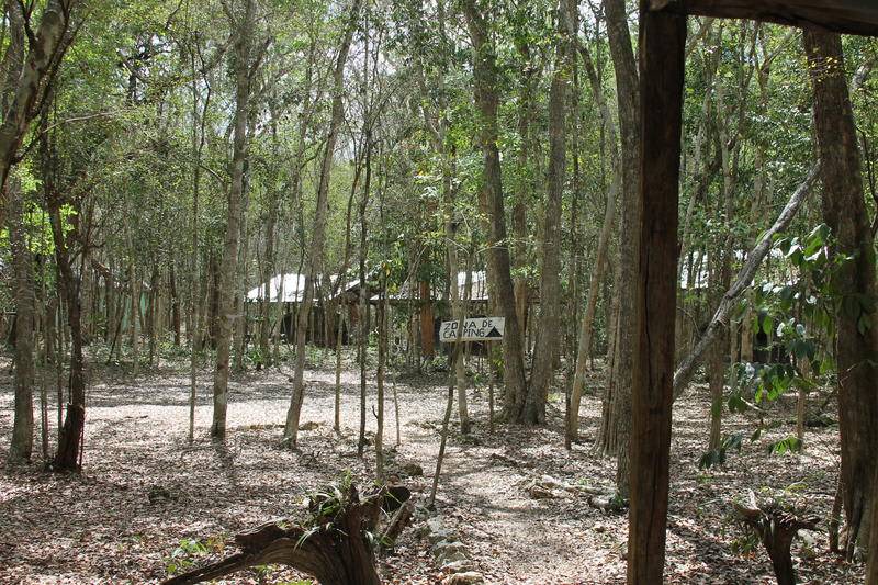 Photo of Others in Calakmul