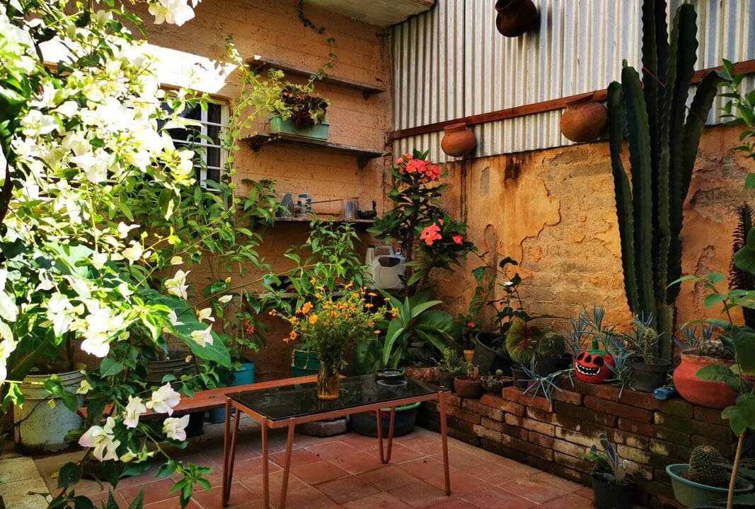 Photo of Patio Balcony in Oaxaca
