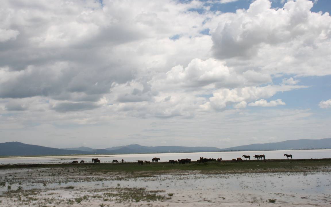 Photo of Others in Tlachichuca
