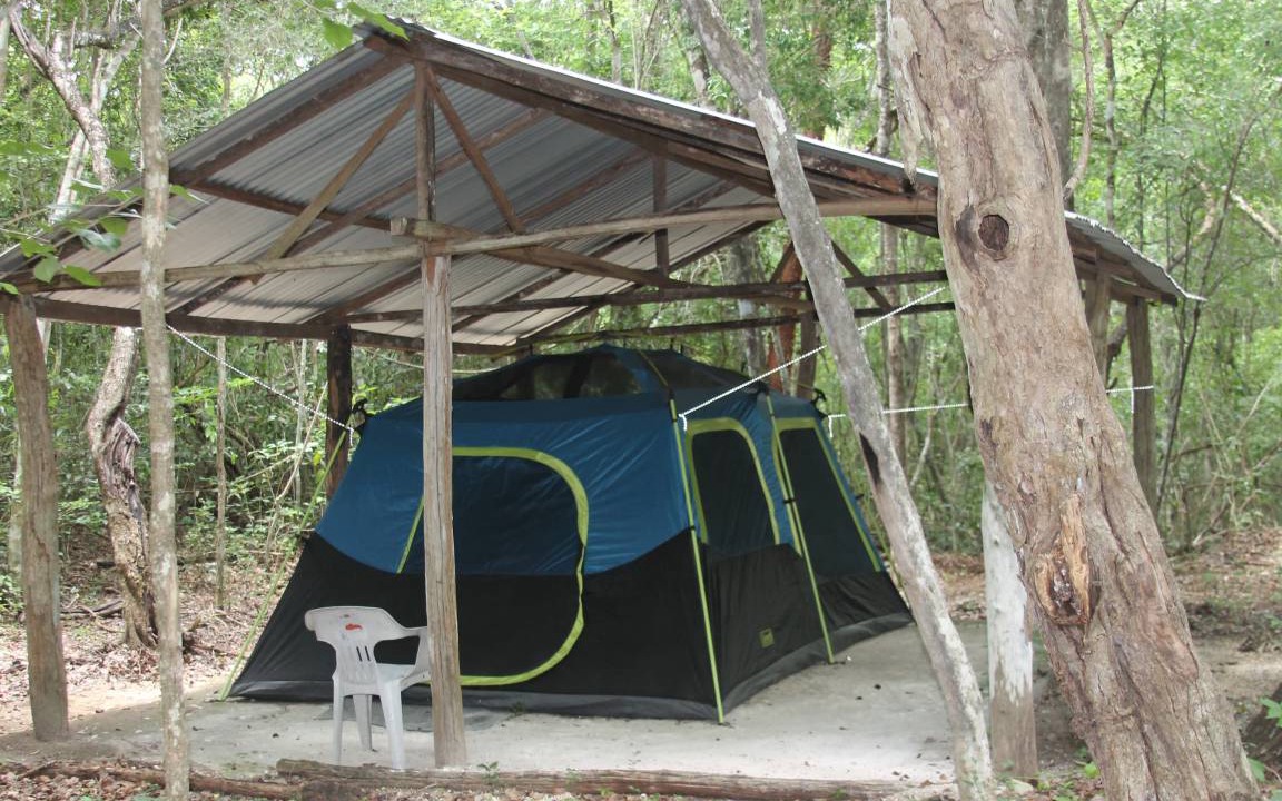 Photo of Others in Calakmul
