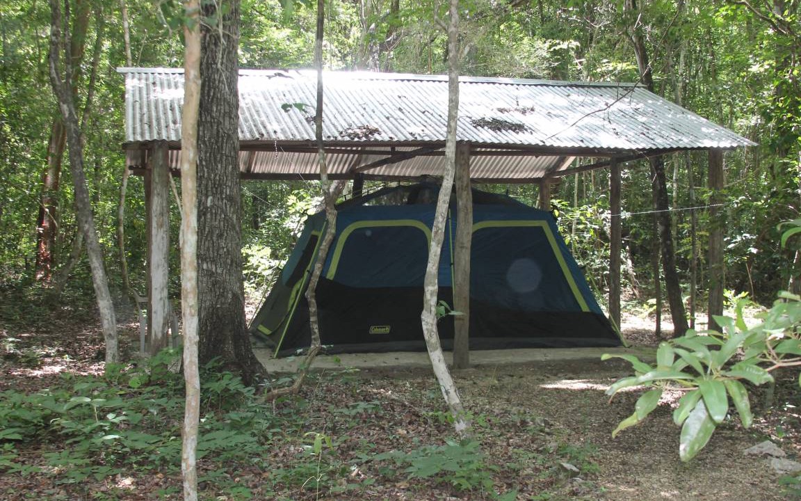 Photo of Others in Calakmul
