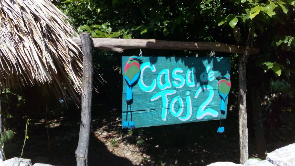 Photo of Others in Chicxulub Pueblo