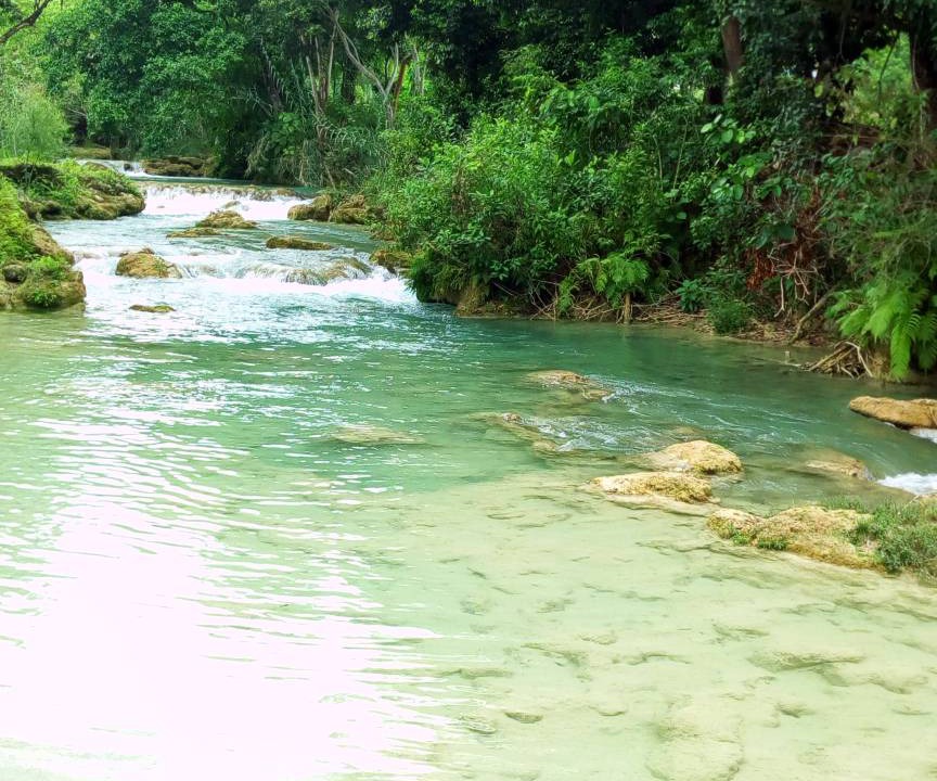 Photo of Others in Tamasopo