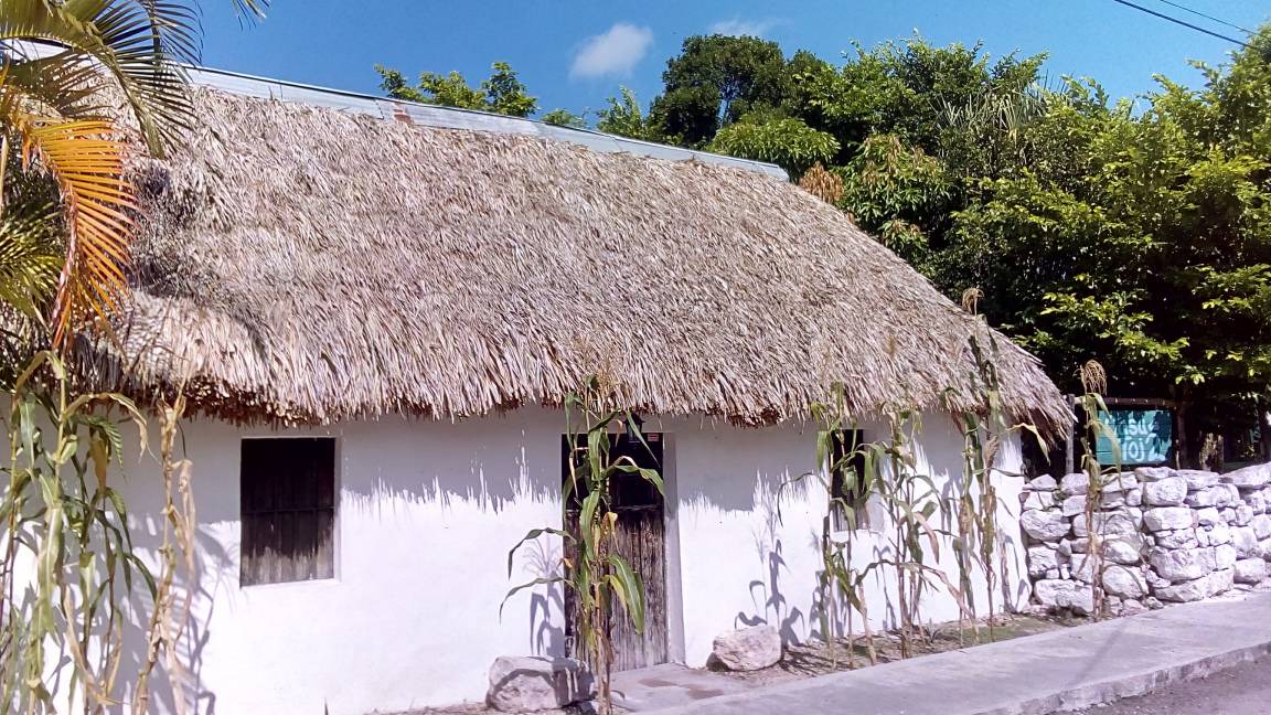 Photo of Others in Chicxulub Pueblo