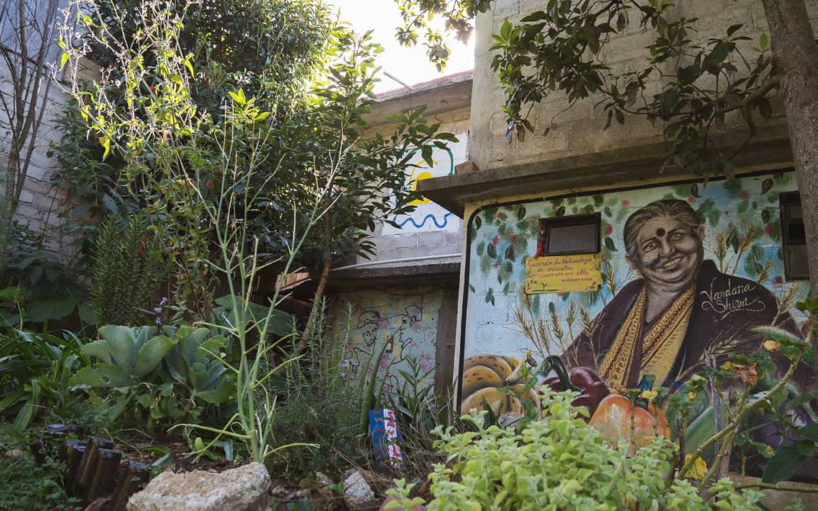 Photo of Others in De Guadalupe
