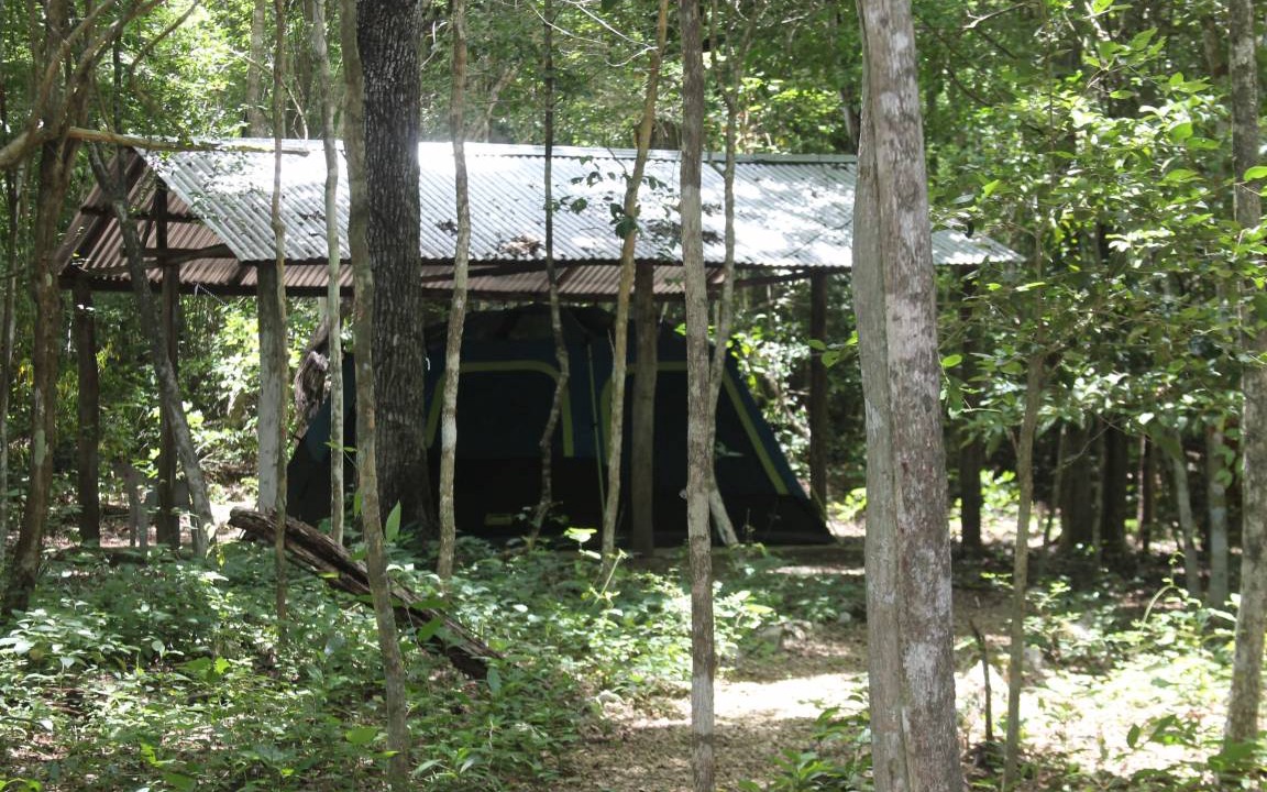 Photo of Others in Calakmul