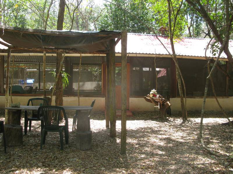 Photo of Others in Calakmul
