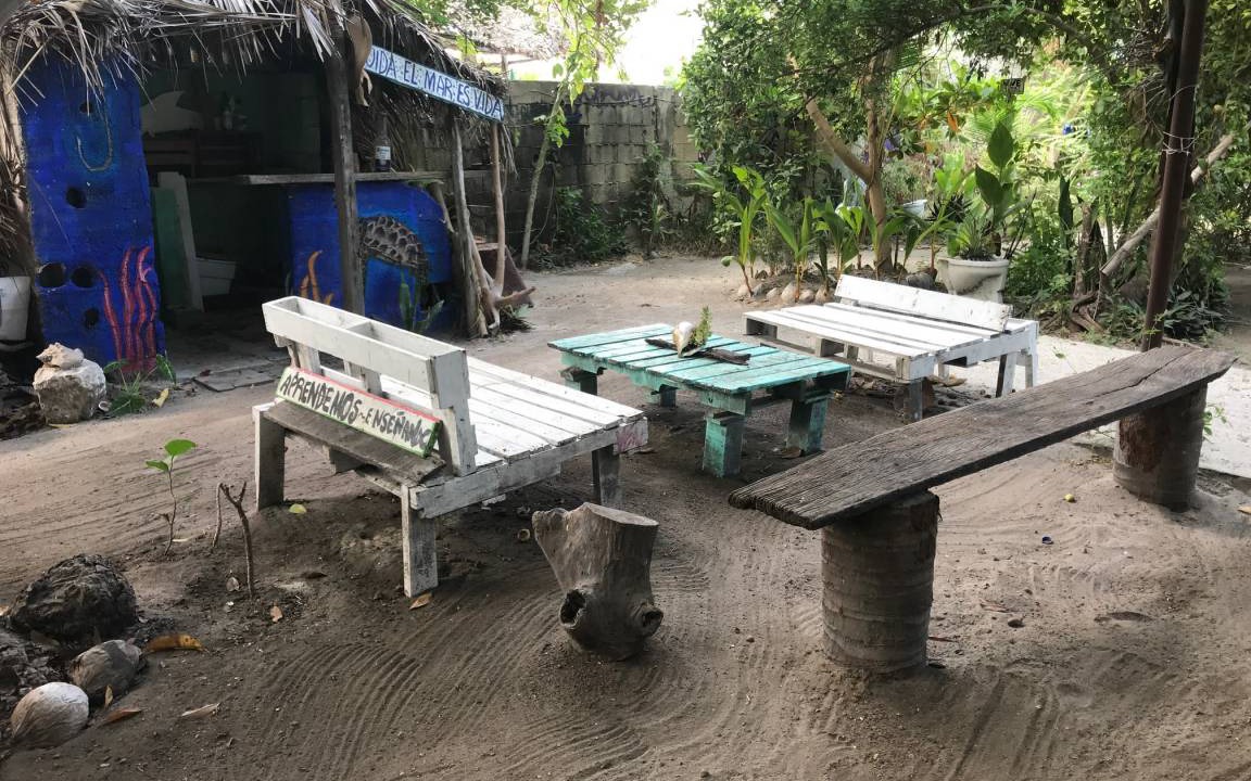 Photo of Others in Sisal