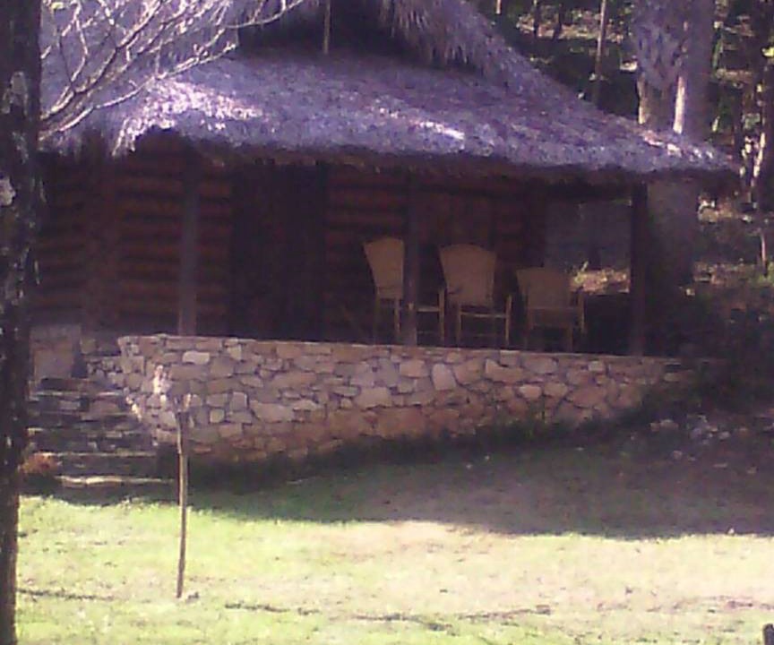 Photo of Others in Tamasopo