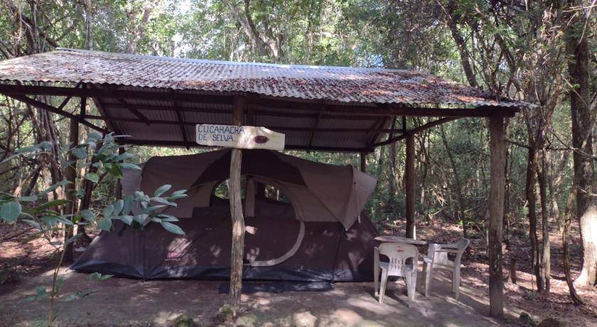Photo of Others in Calakmul