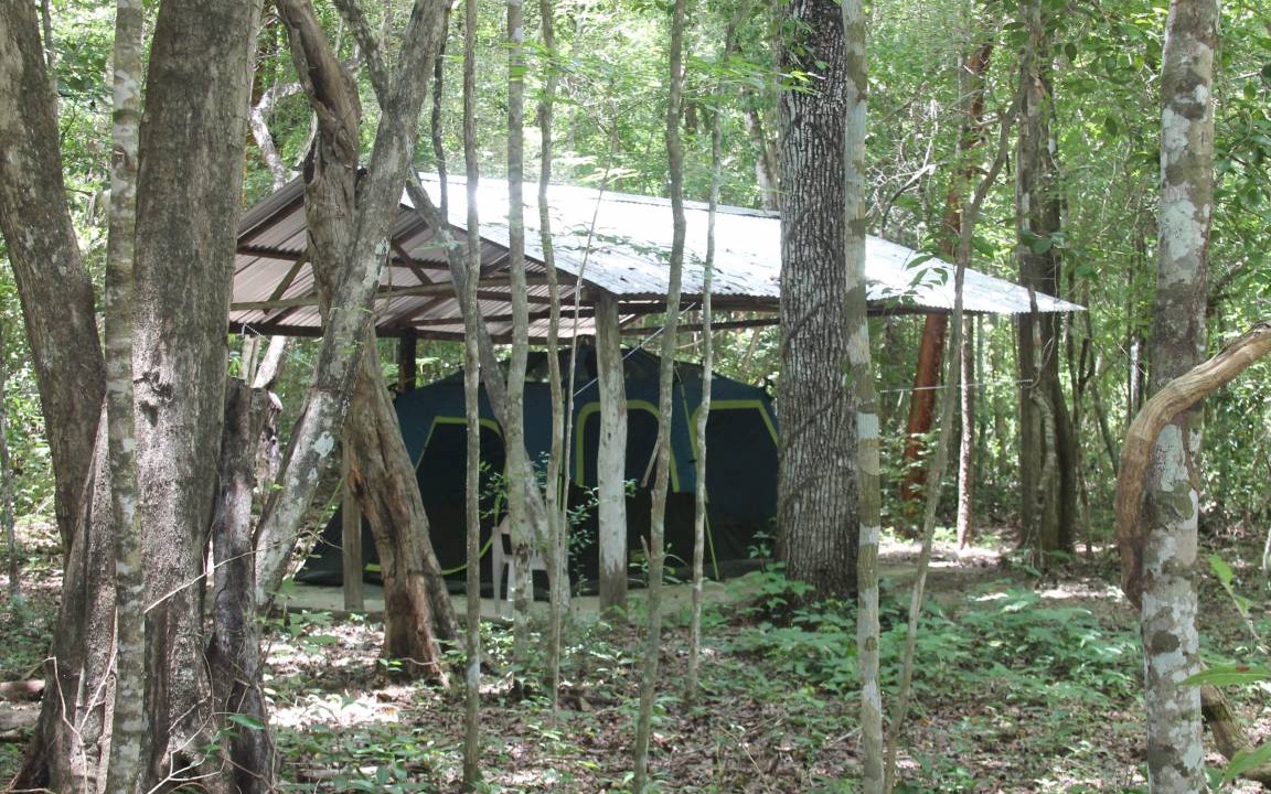 Photo of Others in Calakmul
