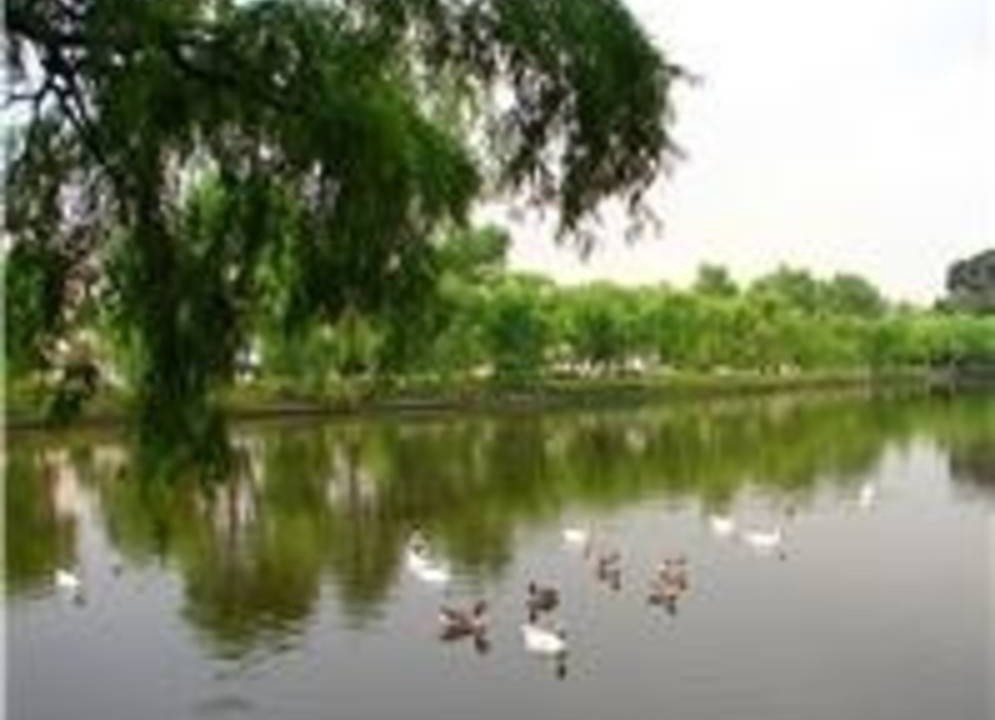Photo of Others in Toluca Municipality