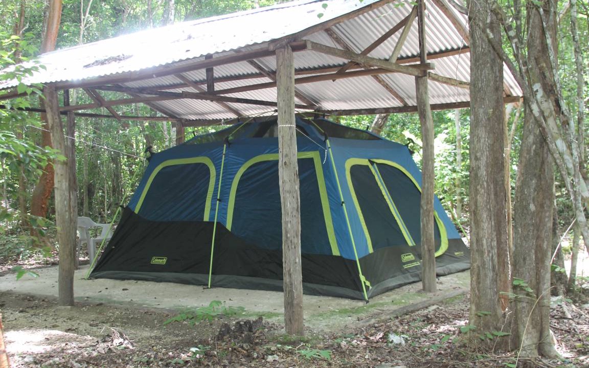 Photo of Others in Calakmul