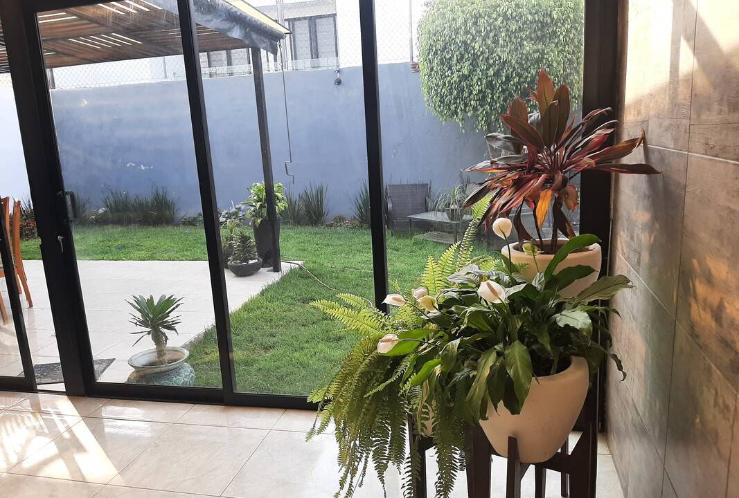 Photo of Others in Cholula